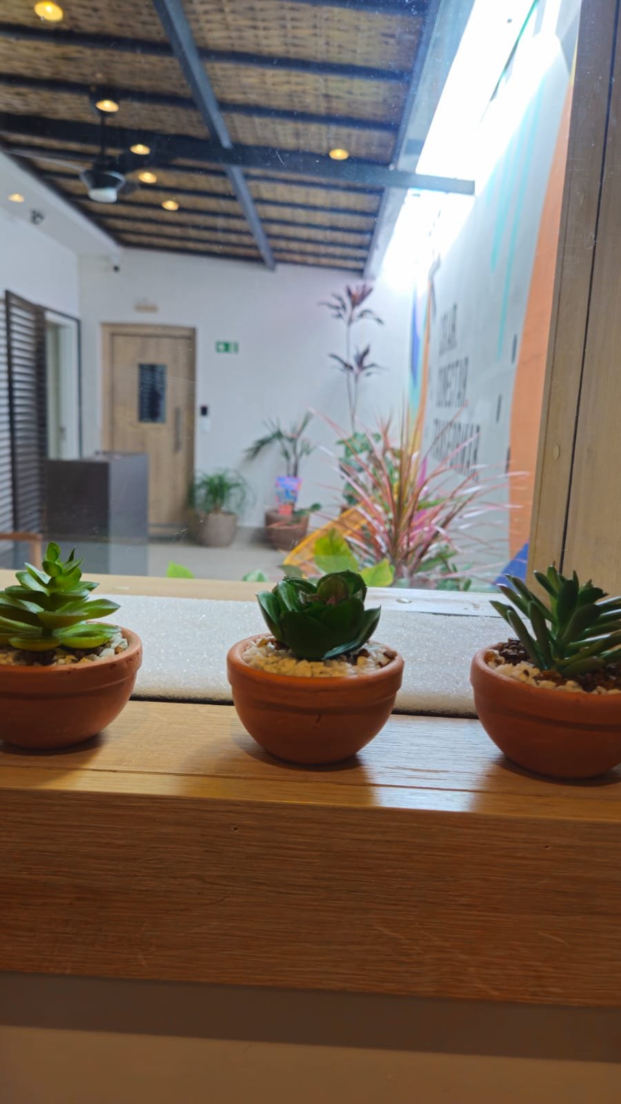 WhatsApp Image 2025-02-10 at 15.44.44 (5)